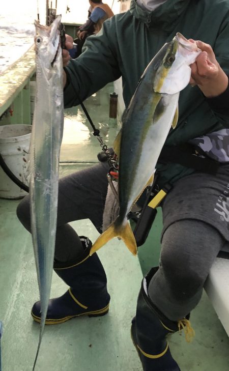 渋いの中でも青物&太刀魚!